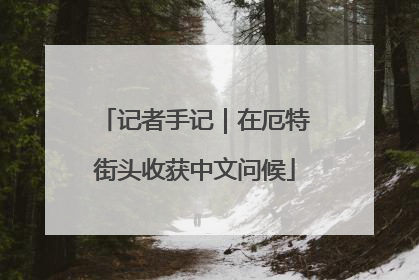 记者手记｜在厄特街头收获中文问候