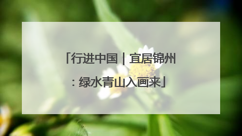 行进中国｜宜居锦州：绿水青山入画来