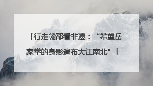 行走赣鄱看非遗：“希望岳家拳的身影遍布大江南北”