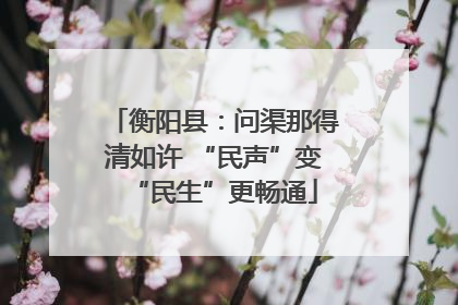 衡阳县：问渠那得清如许 “民声”变“民生”更畅通