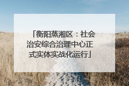 衡阳蒸湘区：社会治安综合治理中心正式实体实战化运行
