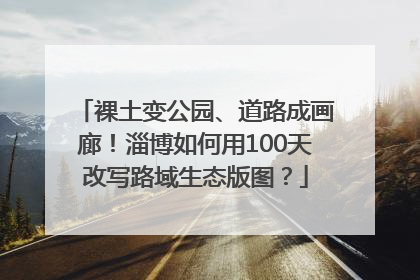 裸土变公园、道路成画廊！淄博如何用100天改写路域生态版图？