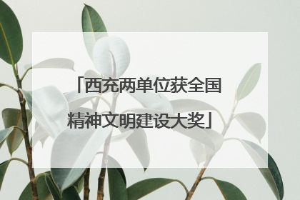 西充两单位获全国精神文明建设大奖