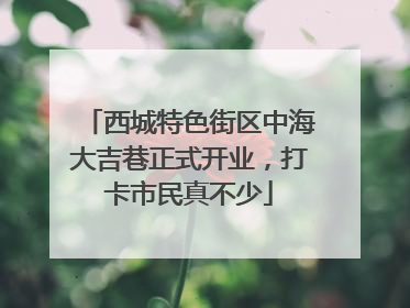 西城特色街区中海大吉巷正式开业，打卡市民真不少