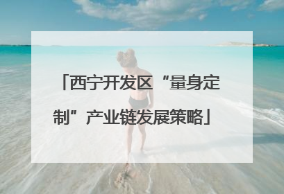 西宁开发区“量身定制”产业链发展策略