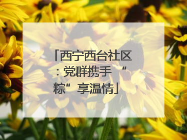 西宁西台社区：党群携手 “粽”享温情