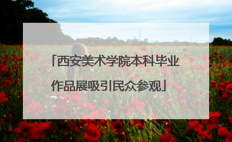西安美术学院本科毕业作品展吸引民众参观