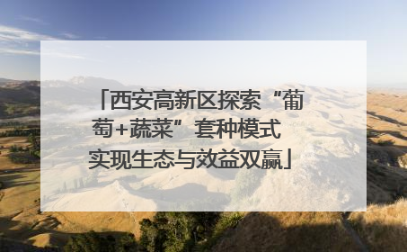 西安高新区探索“葡萄+蔬菜”套种模式 实现生态与效益双赢