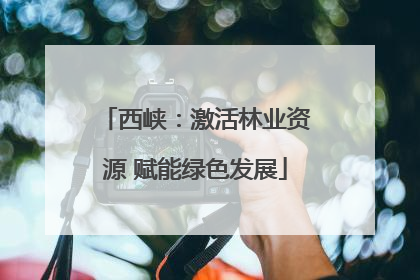 西峡：激活林业资源 赋能绿色发展