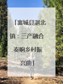 襄城县湛北镇：三产融合 奏响乡村振兴曲