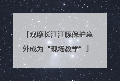 观摩长江江豚保护意外成为“现场教学”