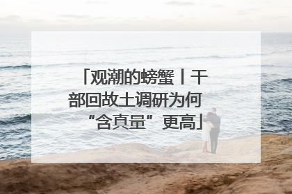 观潮的螃蟹丨干部回故土调研为何“含真量”更高