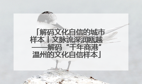 解码文化自信的城市样本丨文脉流深润瓯越——解码“千年商港”温州的文化自信样本
