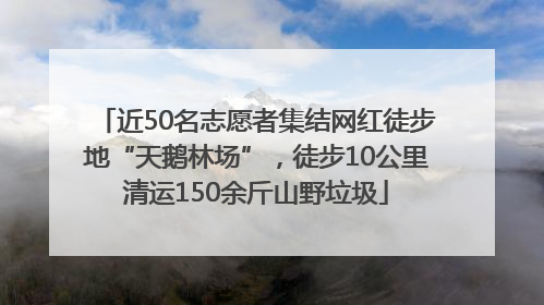 近50名志愿者集结网红徒步地“天鹅林场”，徒步10公里清运150余斤山野垃圾