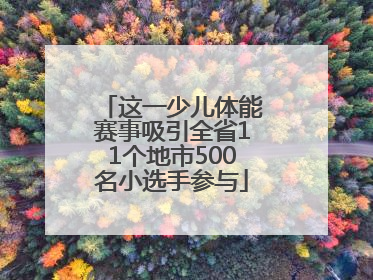 这一少儿体能赛事吸引全省11个地市500名小选手参与