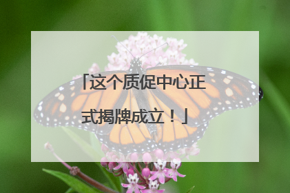 这个质促中心正式揭牌成立！