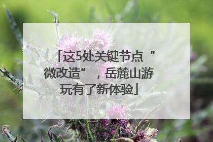 这5处关键节点“微改造”，岳麓山游玩有了新体验