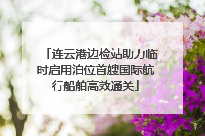 连云港边检站助力临时启用泊位首艘国际航行船舶高效通关