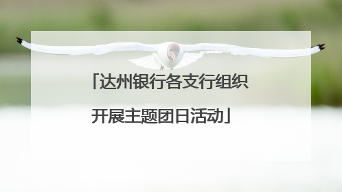 达州银行各支行组织开展主题团日活动
