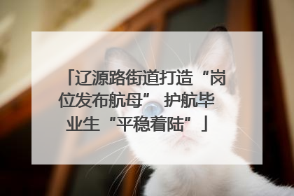 辽源路街道打造“岗位发布航母” 护航毕业生“平稳着陆”