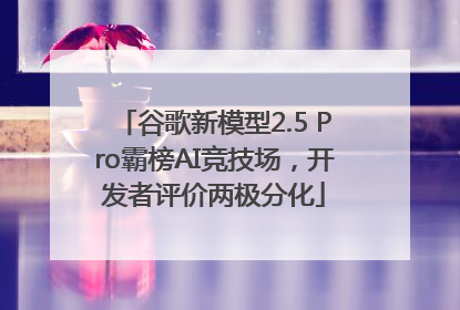 谷歌新模型2.5 Pro霸榜AI竞技场，开发者评价两极分化