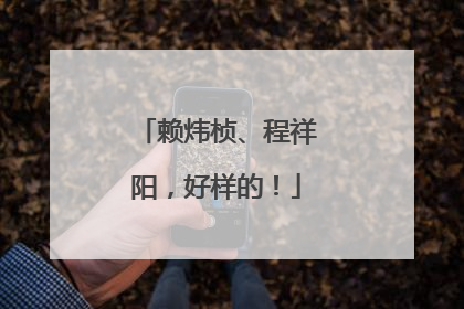 赖炜桢、程祥阳，好样的！