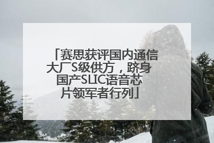 赛思获评国内通信大厂S级供方，跻身国产SLIC语音芯片领军者行列