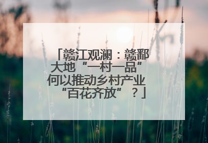 赣江观澜：赣鄱大地“一村一品”何以推动乡村产业“百花齐放”？
