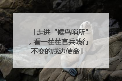 走进“候鸟哨所”，看一茬茬官兵践行不变的戍边使命