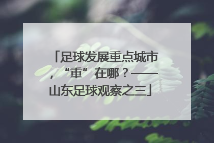 足球发展重点城市，“重”在哪？——山东足球观察之三