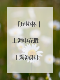 足协杯｜上海申花胜上海海港