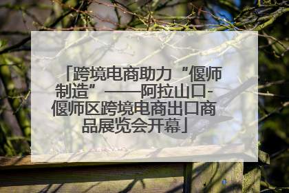 跨境电商助力“偃师制造”——阿拉山口-偃师区跨境电商出口商品展览会开幕