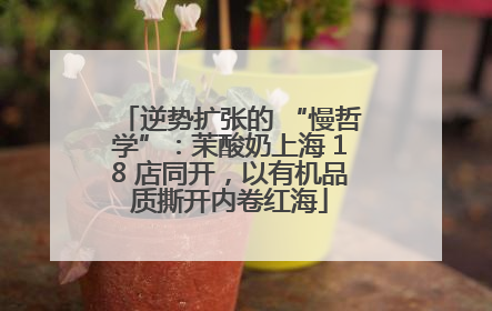 逆势扩张的 “慢哲学”：茉酸奶上海 18 店同开，以有机品质撕开内卷红海