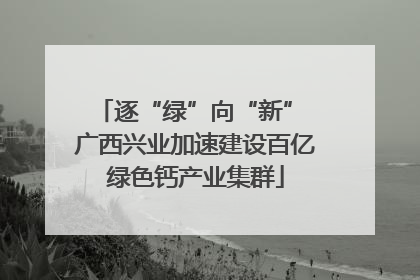 逐“绿”向“新” 广西兴业加速建设百亿绿色钙产业集群