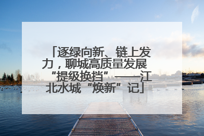 逐绿向新、链上发力，聊城高质量发展“提级换挡”——江北水城“焕新”记