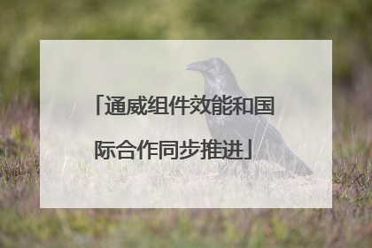 通威组件效能和国际合作同步推进