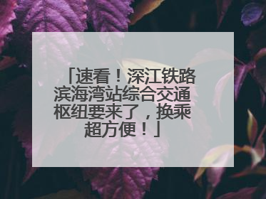速看！深江铁路滨海湾站综合交通枢纽要来了，换乘超方便！