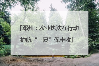 邓州：农业执法在行动 护航“三夏”保丰收