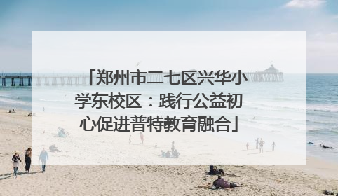 郑州市二七区兴华小学东校区：践行公益初心促进普特教育融合