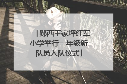 郧西王家坪红军小学举行一年级新队员入队仪式
