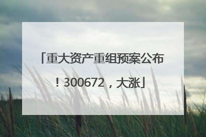 重大资产重组预案公布！300672，大涨