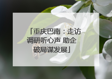 重庆巴南：走访调研听心声 助企破局谋发展