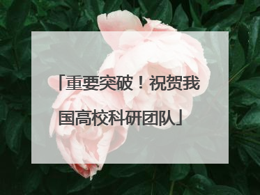 重要突破！祝贺我国高校科研团队