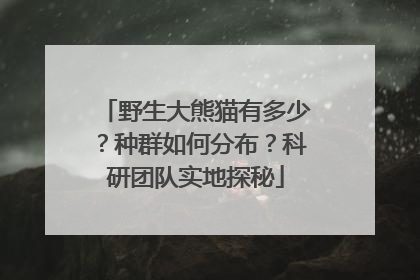 野生大熊猫有多少？种群如何分布？科研团队实地探秘