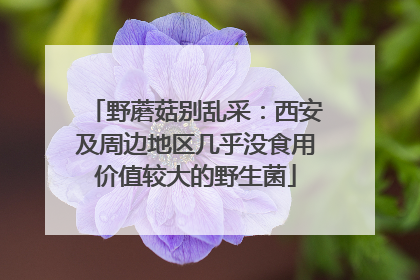 野蘑菇别乱采：西安及周边地区几乎没食用价值较大的野生菌