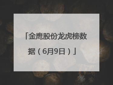 金鹰股份龙虎榜数据（6月9日）