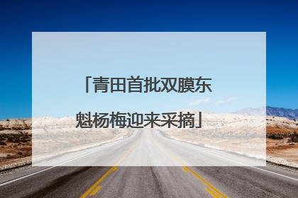 青田首批双膜东魁杨梅迎来采摘