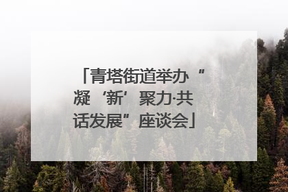 青塔街道举办“凝‘新’聚力·共话发展”座谈会
