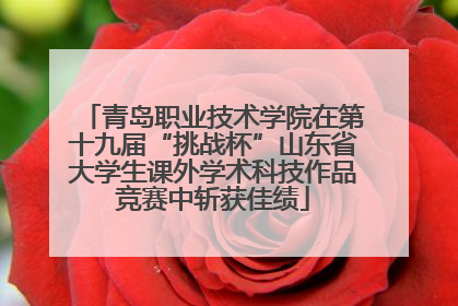 青岛职业技术学院在第十九届“挑战杯”山东省大学生课外学术科技作品竞赛中斩获佳绩