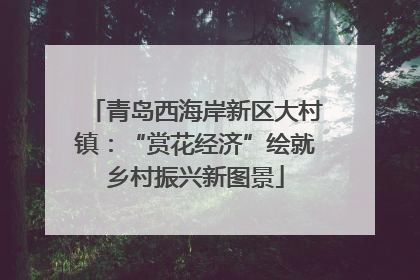 青岛西海岸新区大村镇：“赏花经济”绘就乡村振兴新图景